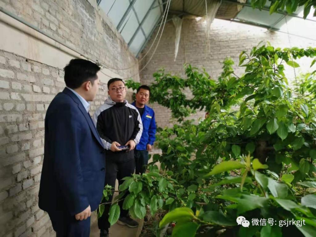 金控酒泉擔(dān)保開展專項(xiàng)保后檢查工作